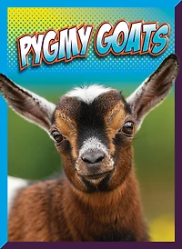 Pygmy Goats