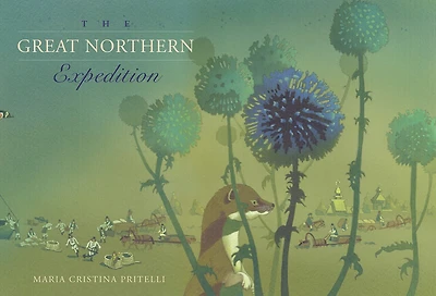The Great Northern Expedition