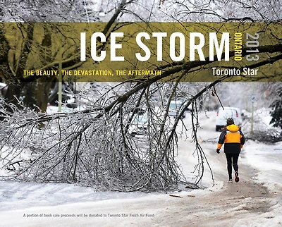 Ice Storm, Ontario 2013: The Beauty, The Devastation, The Aftermath
