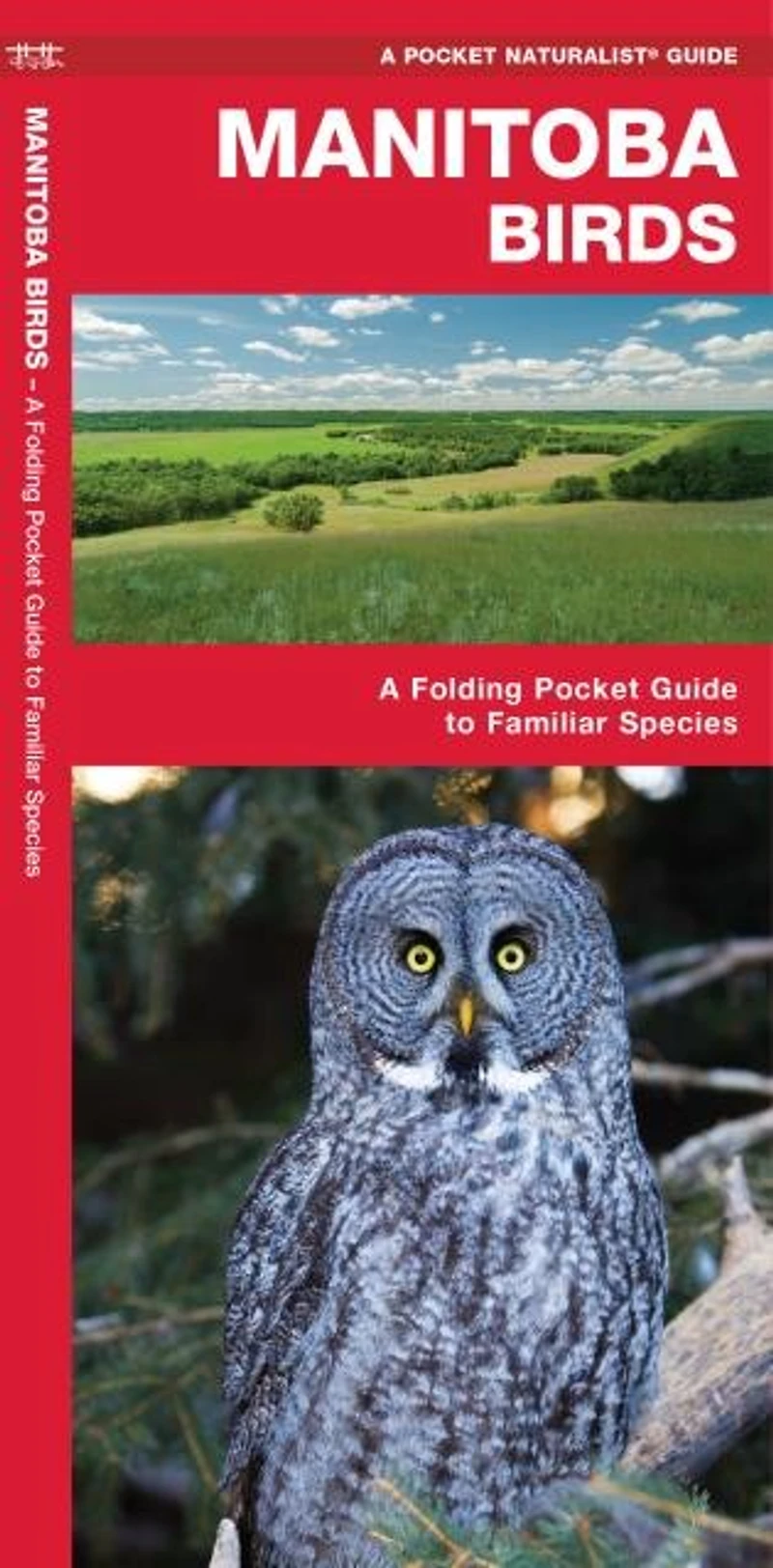 Manitoba Birds, 2nd Ed: A Folding Pocket Guide to Familiar Species