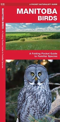 Manitoba Birds, 2nd Ed: A Folding Pocket Guide to Familiar Species