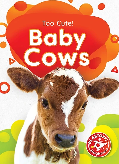 Baby Cows