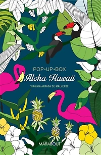 Aloha Hawaii!  Pop-up box