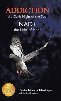 Addiction: the Dark Night of Soul/ Nad+: Light Hope