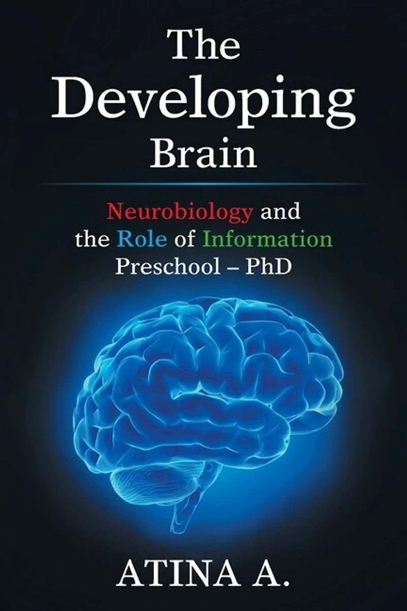 The Developing Brain: Neurobiology And Role Of Information Preschool - Phd