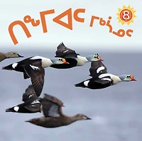 All about Birds: French Edition