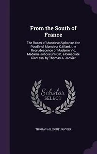 From the South of France: Roses Monsieur Alphonse, Poodle Gaillard, Recrudescence Madame Vic, M