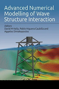 Advanced Numerical Modelling of Wave Structure Interaction