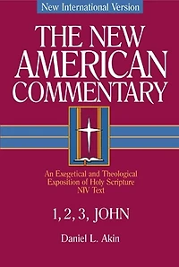 1,2,3 John: An Exegetical and Theological Exposition of Holy Scripture