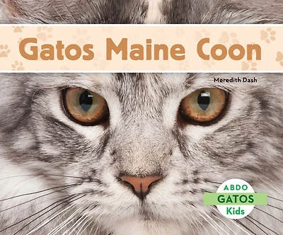 Gatos Maine Coon (Maine Coon Cats)
