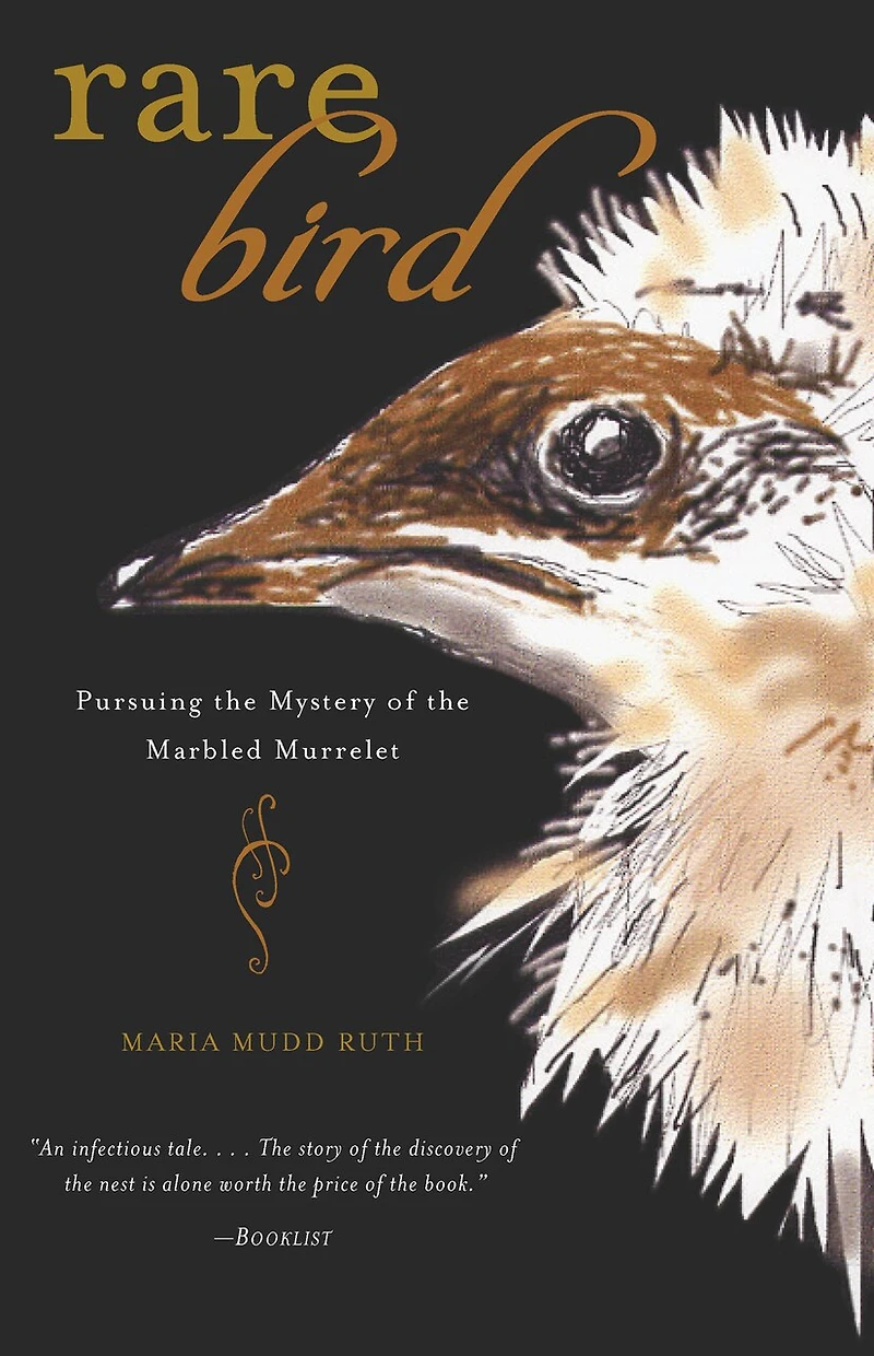 Rare Bird: Pursuing The Mystery Of Marbled Murrelet