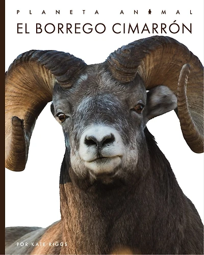 El borrego cimarron: Planeta animal: El borrego cimarron