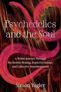 Psychedelics and the Soul: A Mythic Guide to Psychedelic Healing, Depth Psychology, Cultural Repair