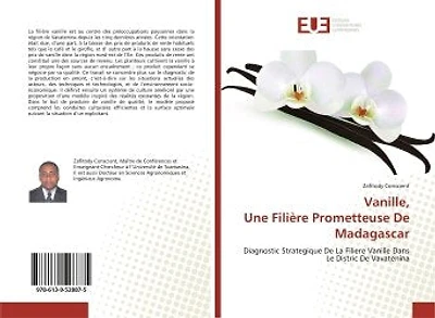 Vanille, Une FiliEre Prometteuse De Madagascar: Diagnostic Strategique De La Filiere Vanille Dans Le Distric De Vavatenina