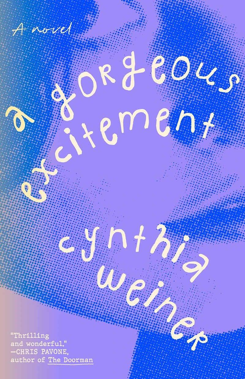 A Gorgeous Excitement: Novel