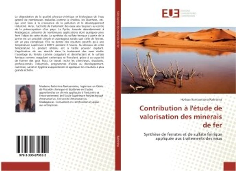 Contribution à l'étude de valorisation des minerais de fer: Synthèse de ferrates et de sulfate ferrique appliquée aux traitements des eaux