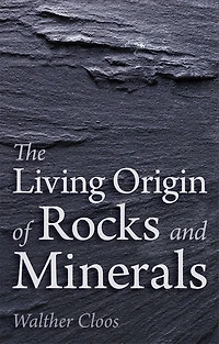 The Living Origin Of Rocks And Minerals