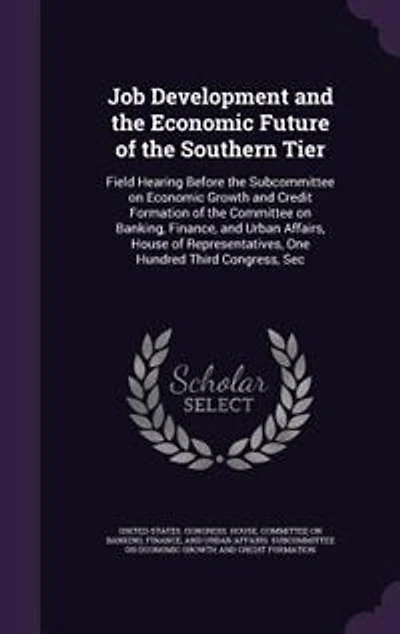 Job Development and the Economic Future of Southern Tier: Field Hearing Before Subcommittee on Growth Credit Formation Committee B