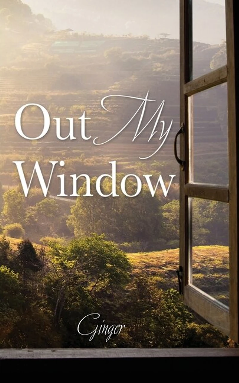 Out My Window