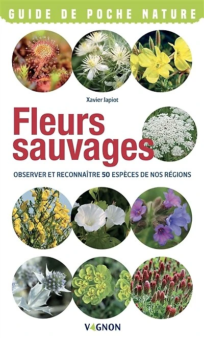 Fleurs sauvages: observer et reconnaître 50 espèces de nos régions