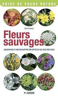 Fleurs sauvages: observer et reconnaître 50 espèces de nos régions