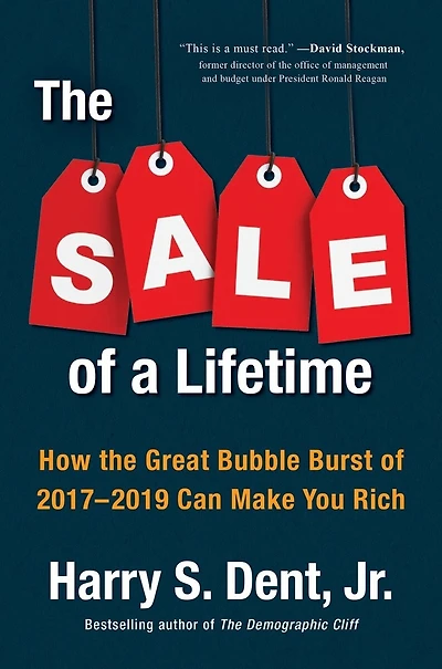 the Sale of a Lifetime: How Great Bubble Burst 2017-2019 Can Make You Rich