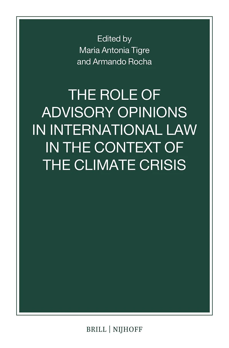 The Role of Advisory Opinions in International Law in the Context of the Climate Crisis