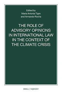 The Role of Advisory Opinions in International Law in the Context of the Climate Crisis