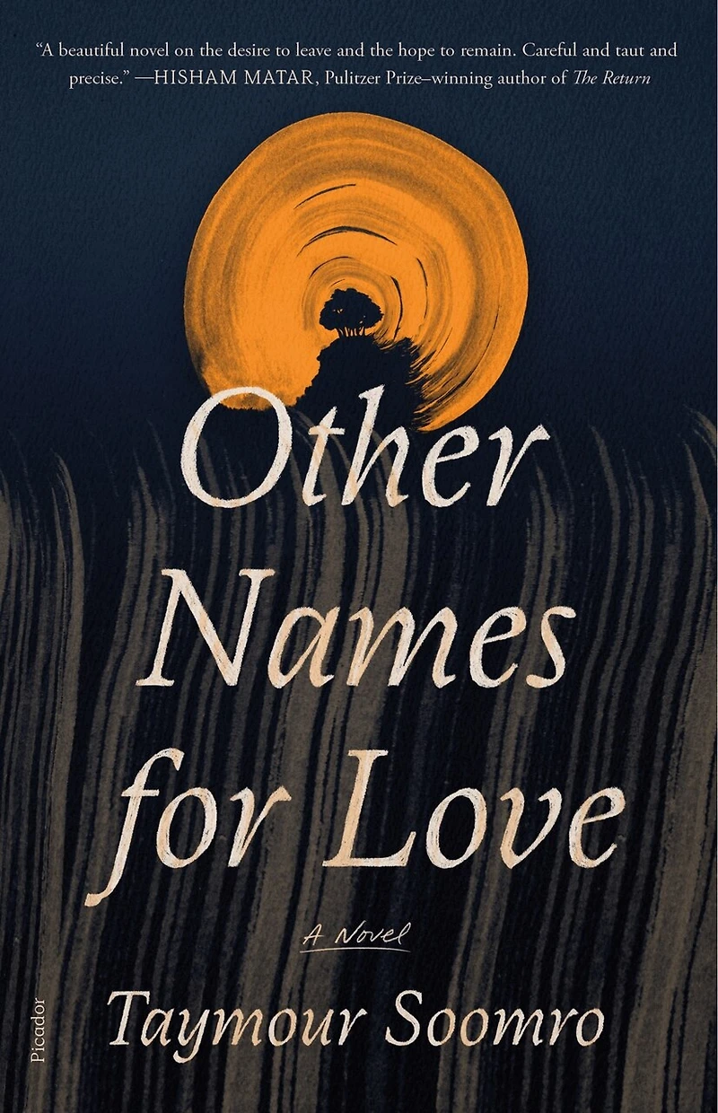 Other Names for Love: A Novel
