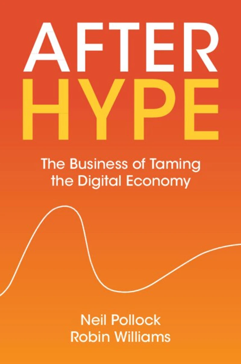 After Hype: the Business of Taming Digital Economy
