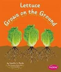 Lettuce Grows on the Ground