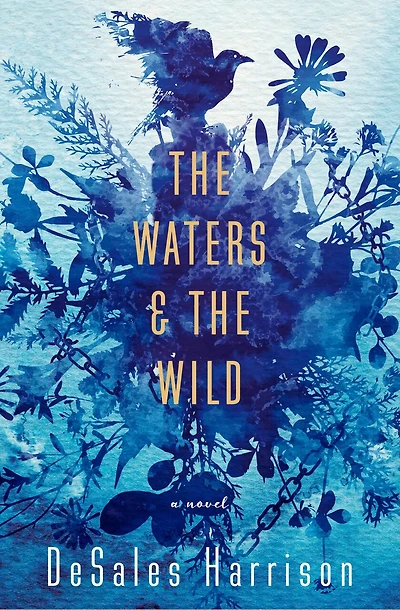 The Waters & Wild: A Novel