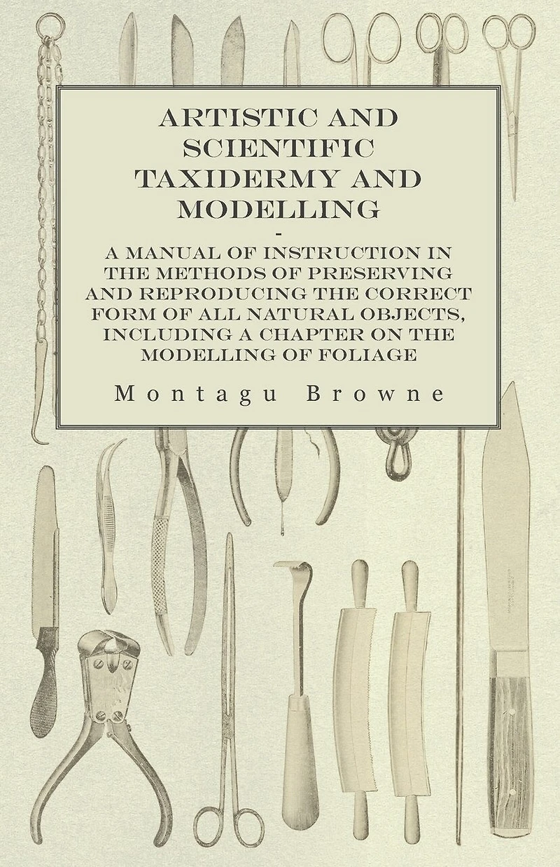 Artistic And Scientific Taxidermy Modelling; A Manual Of Instruction The Methods Preserving Reproducing Correct Form All Natural Objects, Including Chapter On Modelling Foliage