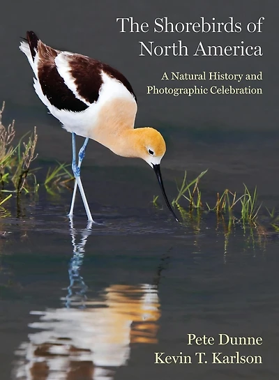 The Shorebirds of North America: A Natural History and Photographic Celebration