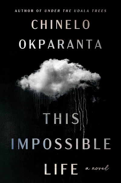 This Impossible Life: A Novel