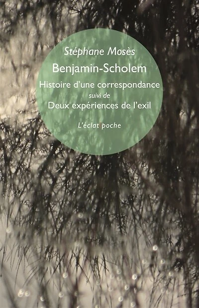 Benjamin-Scholem: histoire d'une correspondance ; Deux expériences de l'exil