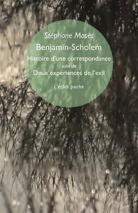 Benjamin-Scholem: histoire d'une correspondance ; Deux expériences de l'exil