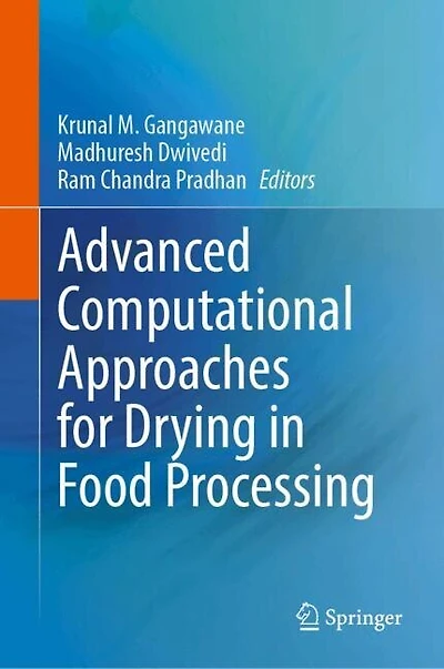 Advanced Computational Approaches for Drying Food Processing
