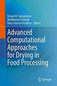 Advanced Computational Approaches for Drying Food Processing