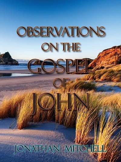Observations On The Gospel Of John