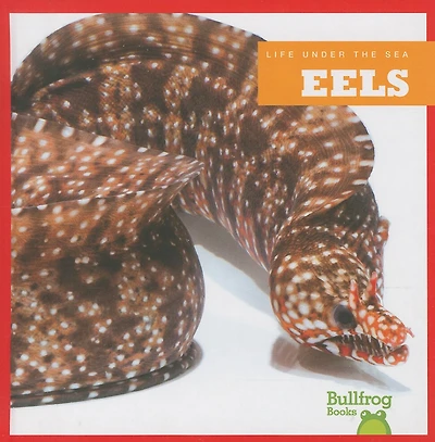 Eels