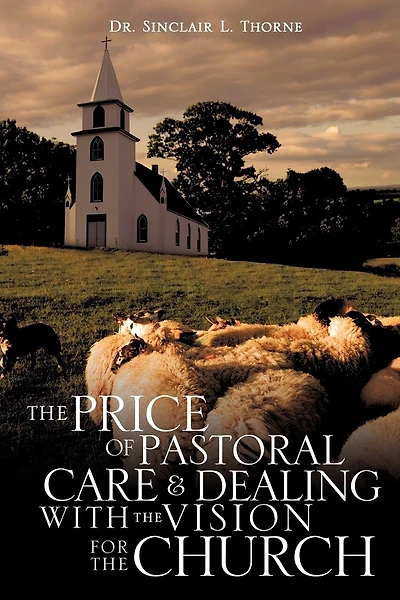 The Price of Pastoral Care and Dealing with the Vision for the Church