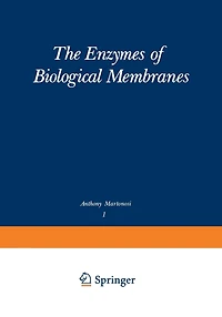 The Enzymes of Biological Membranes: Volume 1: Physical and Chemical Techniques