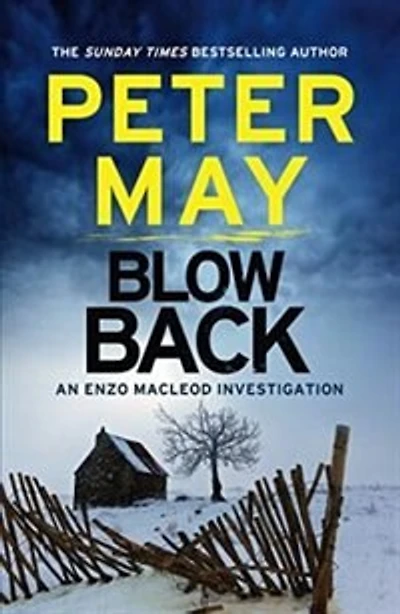 Blowback: the exciting penultimate case addictive crime series (The Enzo Files Book 5)
