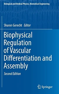 Biophysical Regulation of Vascular Differentiation and Assembly