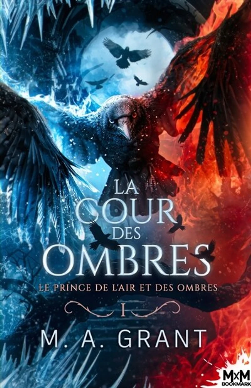 Le prince de l'Air et des Ombres: La Cour Ombres, T1