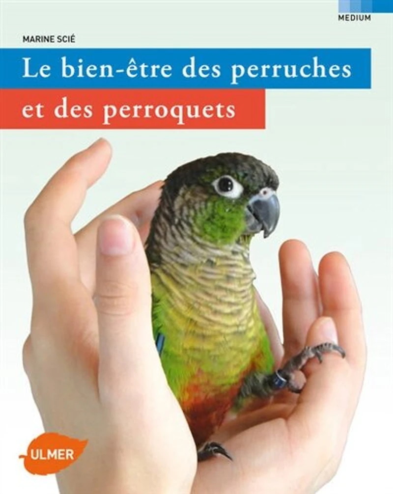 Bien-être des perruches et des perroquets