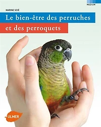 Bien-être des perruches et des perroquets