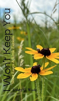I Won't Keep You: Short Essays & Little Fictions