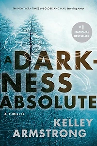 A Darkness Absolute: Rockton Thriller (city Of The Lost 2)